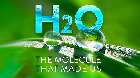 H2O - the Molecule that Made Us